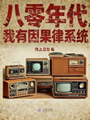 八零年代，我有因果律系统章节列表