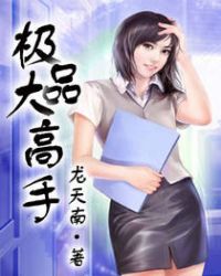 极品大高手