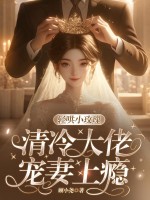 轻哄小玫瑰，清冷大佬宠妻上瘾章节列表