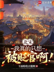 北宋：我真的只想被贬官啊！章节列表