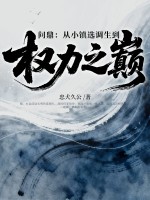 问鼎：从小镇选调生到权力之巅章节列表