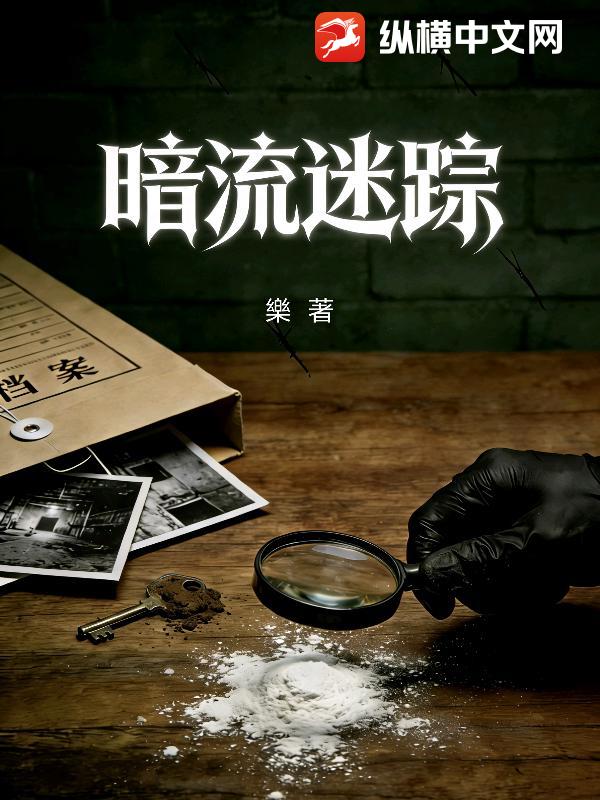 暗流迷踪章节列表