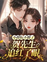 小撩精不撩了，贺先生追红了眼章节列表