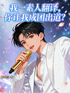我一素人翻译，你让我成团出道？章节列表