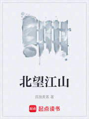 北望江山章节列表