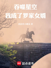 吞噬星空：我成了罗家女婿章节列表