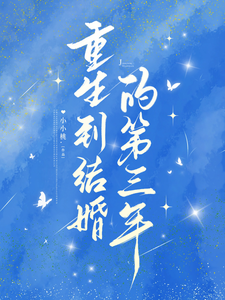 重生到结婚的第三年章节列表