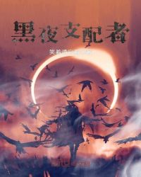 黑夜支配者章节列表