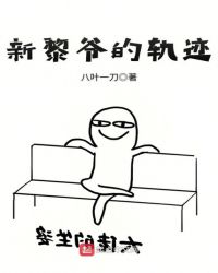 新黎爷的轨迹章节列表