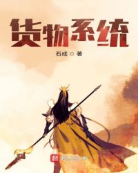 货物系统