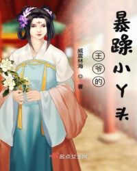 王爷的暴躁小丫头