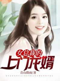 女总裁的上门龙婿章节列表