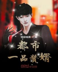 都市一品赘婿章节列表