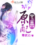 原配宝典章节列表