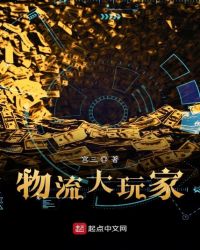 物流大玩家章节列表