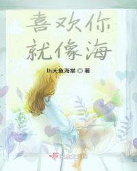 喜欢你就像海章节列表