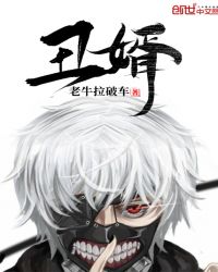 丑婿