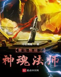 重生赘婿之神魂法师章节列表