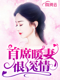 首席暖妻很深情章节列表