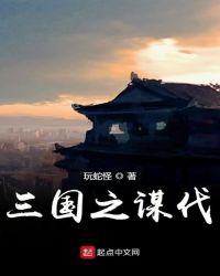 三国之谋伐章节列表