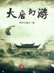 大唐幻游章节列表