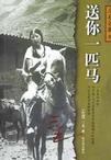 送你一匹马章节列表