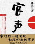 官声章节列表