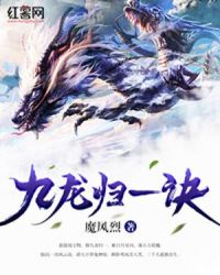 九龙归一诀章节列表
