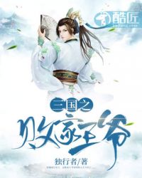 三国之败家王爷