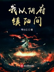 我以阴府镇阳间(琴小江)