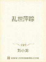 乱世萍踪章节列表