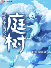 宠物小精灵之庭树章节列表