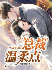 大叔娇宠傲娇妻苏暖暖厉衍琛章节列表