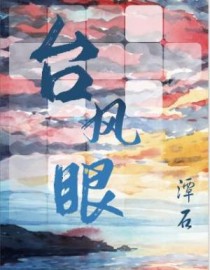 台风眼章节列表