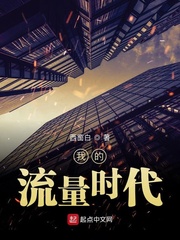 我的流量时代章节列表