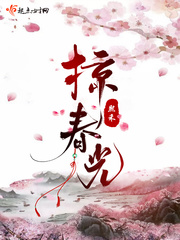 掠春光章节列表
