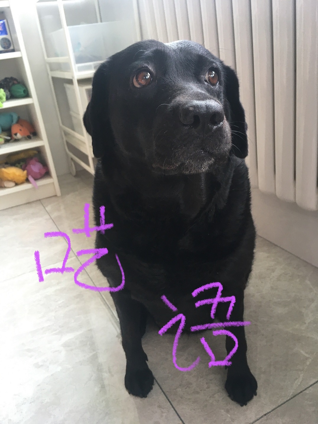 呓语章节列表
