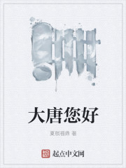 大唐您好章节列表