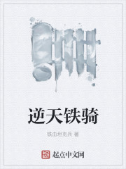逆天铁骑章节列表