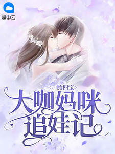 一胎四宝：大咖妈咪追娃记洛锦衣陆知淮章节列表