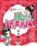 恰逢好婚:墨少,夫人有喜了章节列表
