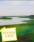 搞化学的不能惹章节列表