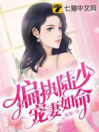 偏执陆少宠妻如命章节列表