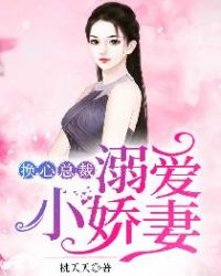 换心总裁：溺爱小娇妻章节列表