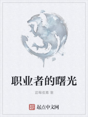 职业者的曙光章节列表