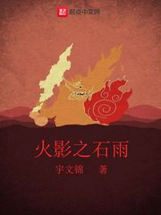 木叶之石雨章节列表
