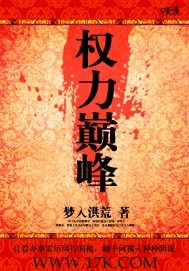 权力巅峰章节列表